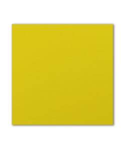 313 Yellow